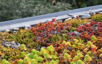 the cost of Carnan green roof installation