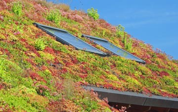 Carnan living roof systems