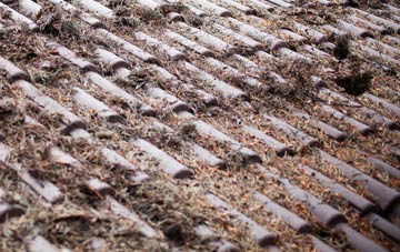 Carnan roof cleaning companies